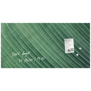 SIGEL Artverum magnetna staklena ploča - dizajn Palm Leaf - 91 x 46 cm - zelena - sigurnosno staklo (ESG) - TÜV testirano Sigel staklena magnetna ploča Artverum Palm Leaf (Š x V) 91 cm x 46 cm zele... slika