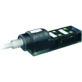 Murr Elektronik  8000-84010-3340500 sensorska/aktivatorska kutija aktivna M8 razdjelnik s plastičnim navojem 1 St. slika
