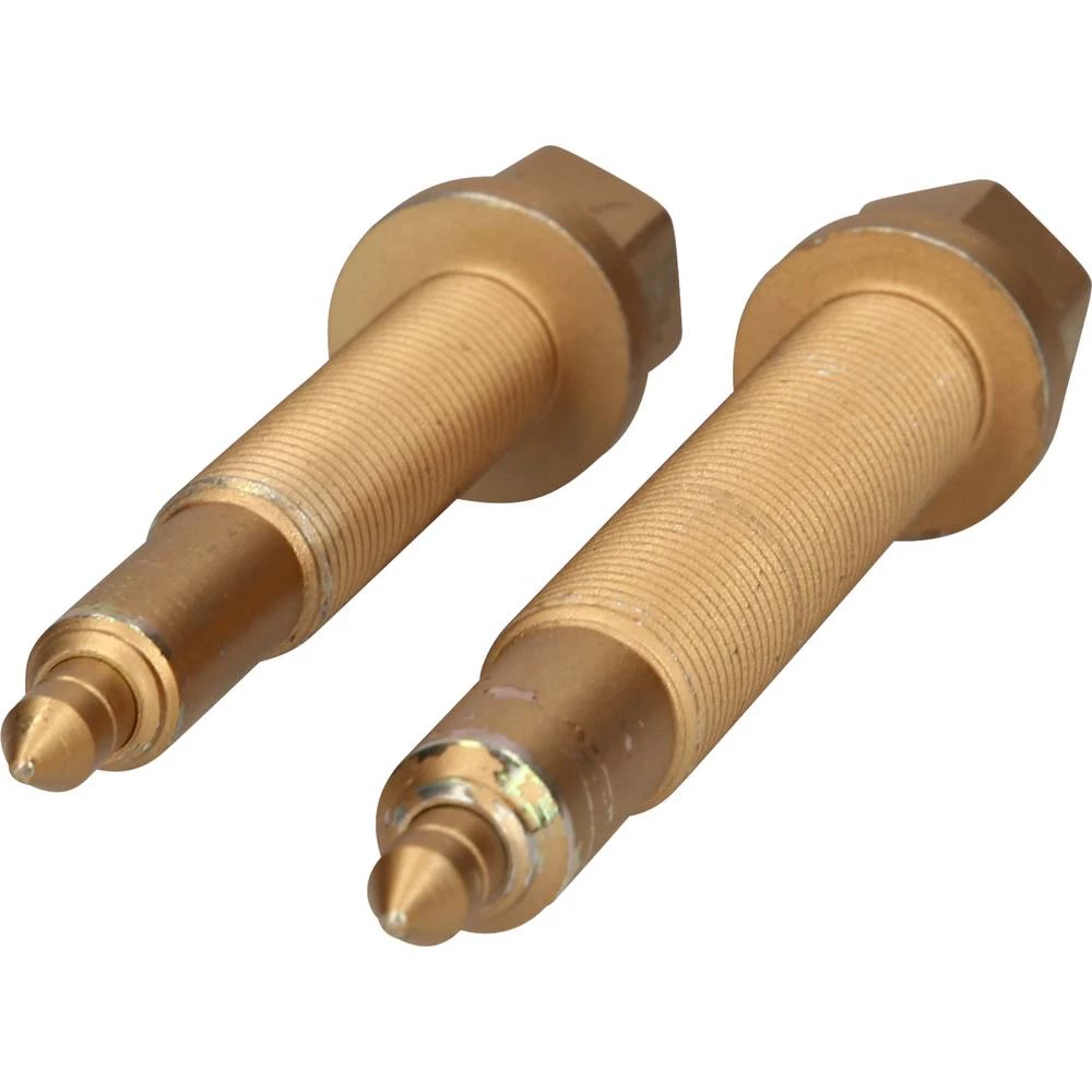 Set potisnih vijaka za kardan za VAG, 2 kom KS Tools 150.9705 slika