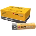 AgfaPhoto Professional micro (AAA) baterija alkalno-manganov  1.5 V 10 St. slika