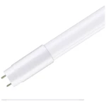 Paulmann LED cijev Energetska učinkovitost 2021: E (A - G) G13 T8 22 W toplo bijela (Ø x V) 27 mm x 1213 mm