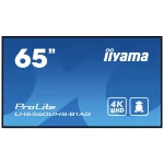 Iiyama PROLITE LH6560UHS-B1AG Digital Signage zaslon Energetska učinkovitost 2021: F (A - G) 164 cm 64.5 palac 3840 x 21