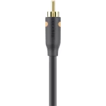 Cinch-Digital Digitalni audio Priključni kabel [1x Muški cinch konektor - 1x Muški cinch konektor] 2 m Crna Belkin