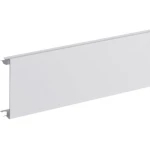 Hager BR08029010 zidni nadžbukni kanal poklopac (D x Š) 2000 mm x 80 mm 1 St. čista bijela (ral 9010)