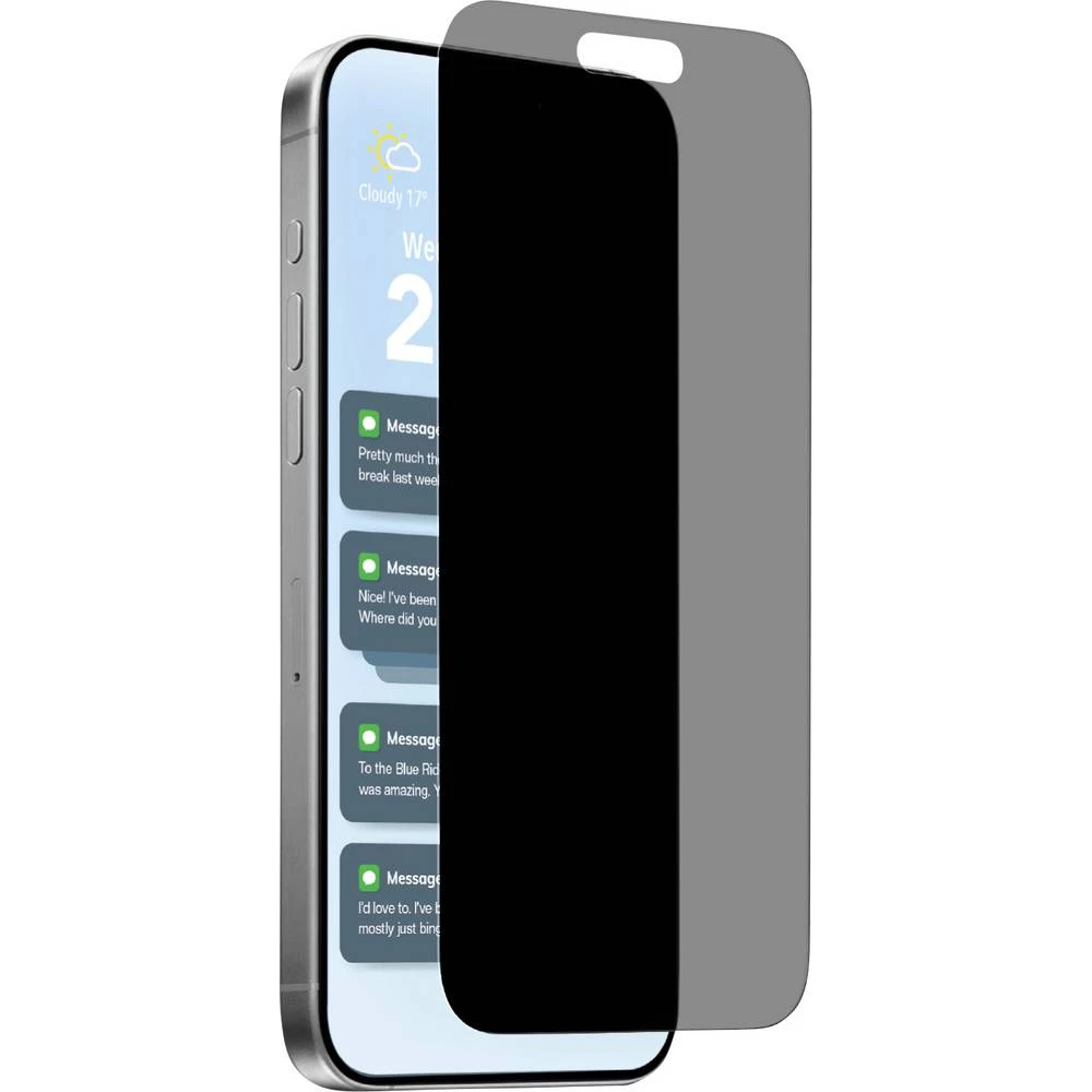 Puro zaštitno staklo za ekran s filterom za privatnost Apple iPhone Air 1 kom. PUSDGPRIPHONE1766 slika