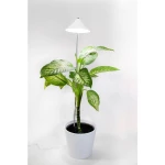 Venso LED svjetlo za rast biljaka SUNLiTE XL 25 W Weiß  230 V LED fiksno ugrađena 25 W  neutralna bijela   1 St.