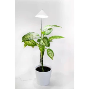 Venso LED svjetlo za rast biljaka SUNLiTE XL 25 W Weiß  230 V LED fiksno ugrađena 25 W  neutralna bijela   1 St. slika