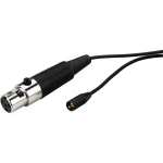 XLR Connection cable 1.5 m Crna JTS 801C4/B