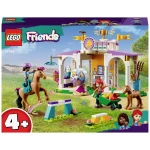 41746 LEGO® FRIENDS