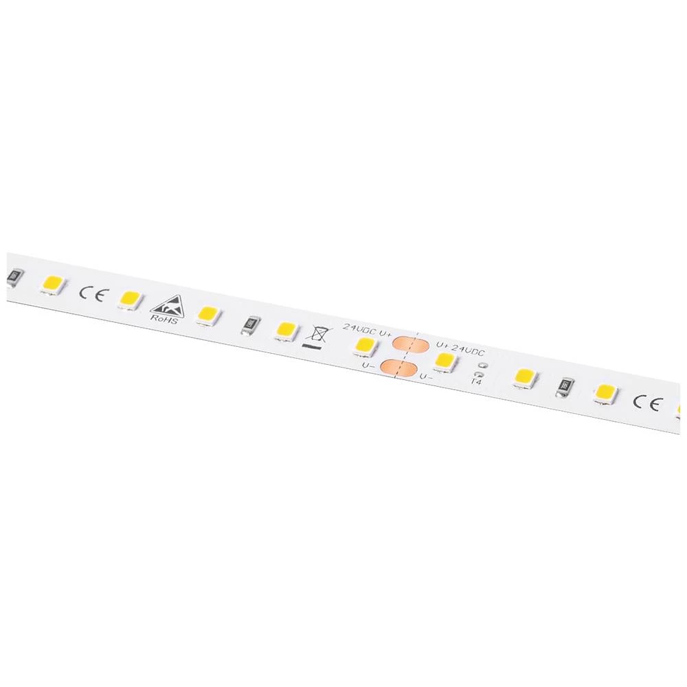 Barthelme LEDlight flex 12 10 LITE 1500, Rolle 500 cm 50414333 led traka   24 V 500 cm toplo bijela slika