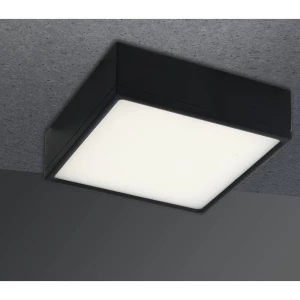 ECO-Light LED-KLIO-Q11 NER LED-KLIO-Q11 NER stropna svjetiljka crna 16 W neutralna b slika