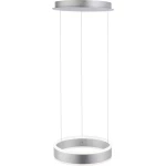 LED viseća svjetiljka 40 W Toplo-bijela, Neutralno-bijela, Dnevno svjetlo-bijela Paul Neuhaus ARINA 8360-55 Plemeniti čelik