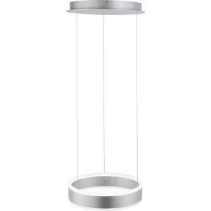 LED viseća svjetiljka 40 W Toplo-bijela, Neutralno-bijela, Dnevno svjetlo-bijela Paul Neuhaus ARINA 8360-55 Plemeniti čelik slika