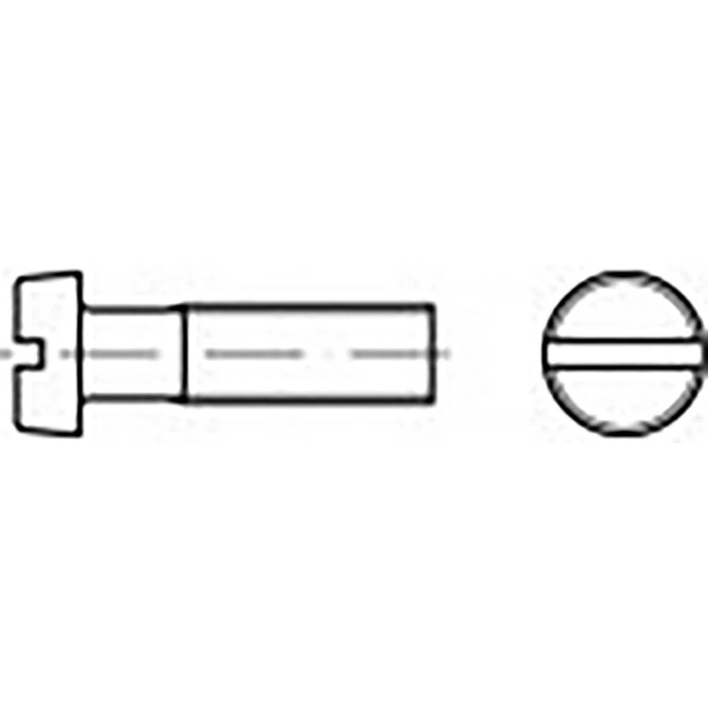 TOOLCRAFT TO-6852438 vijci s cilindričnom glavom M2 16 mm utor DIN 84 čelik pocinčani 200 St. slika