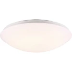 LED vanjska stropna svjetiljka s detektorom pokreta 18 W Toplo-bijela Nordlux 45386501 Ask Bijela