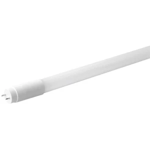 LED G13 Cjevasti oblik T8 KVG 9.5 W Toplo bijela (Ø x D) 27.5 mm x 600 mm ATT.CALC.EEK: A+ (A++ - E) Megaman Uklj. zaštit slika