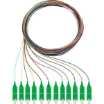 Rutenbeck 228040902 Glasfaser svjetlovodi priključni kabel [12x muški konektor sc - 12x slobodan kraj] Singlemode OS2