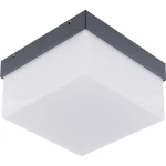 EVN  WAQ54091502 LED vanjsko zidno svjetlo  9 W toplo bijela antracitna boja