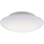 Paul Neuhaus Q® LED Stropna i zidna svjetiljka Q®-Arktis LED fiksno ugrađena 12 W Toplo-bijela, Neutralno-bijela, Dnevno