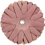 PFERD 42732166 KONJI zvijezde za mljevenje promjer 100 mm     10 St.