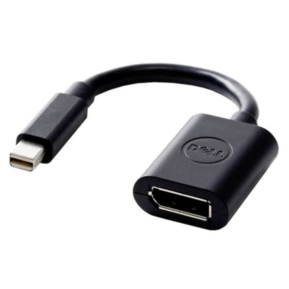 Dell 470-13627 DisplayPort / Mini-DisplayPort adapter [1x muški konektor mini DisplayPort - 1x ženski konektor DisplayPort] crna  20.30 cm slika
