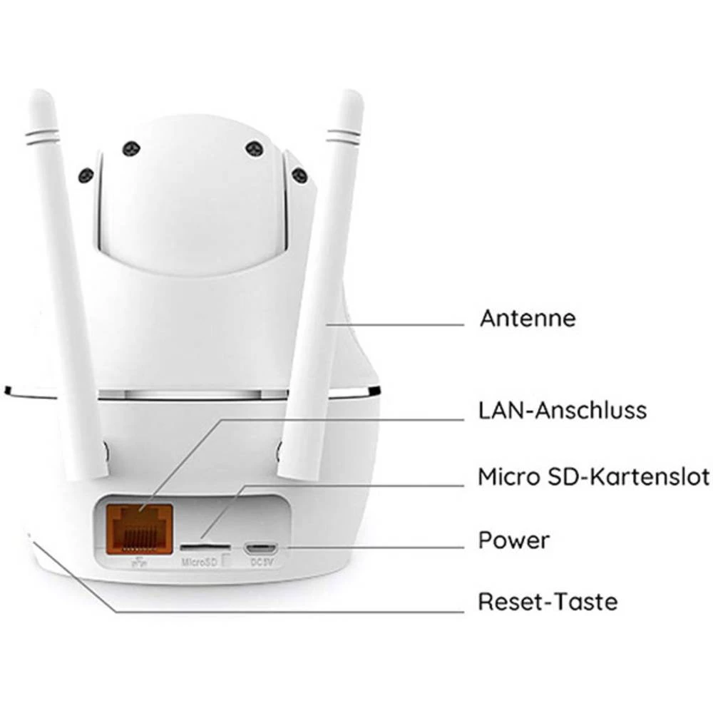 Conrad Product Image