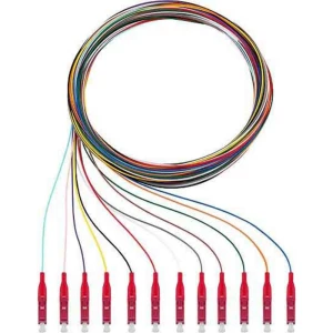 Rutenbeck 228040102 Glasfaser svjetlovodi priključni kabel [12x muški konektor lc - 12x slobodan kraj] Multimode OM4 slika