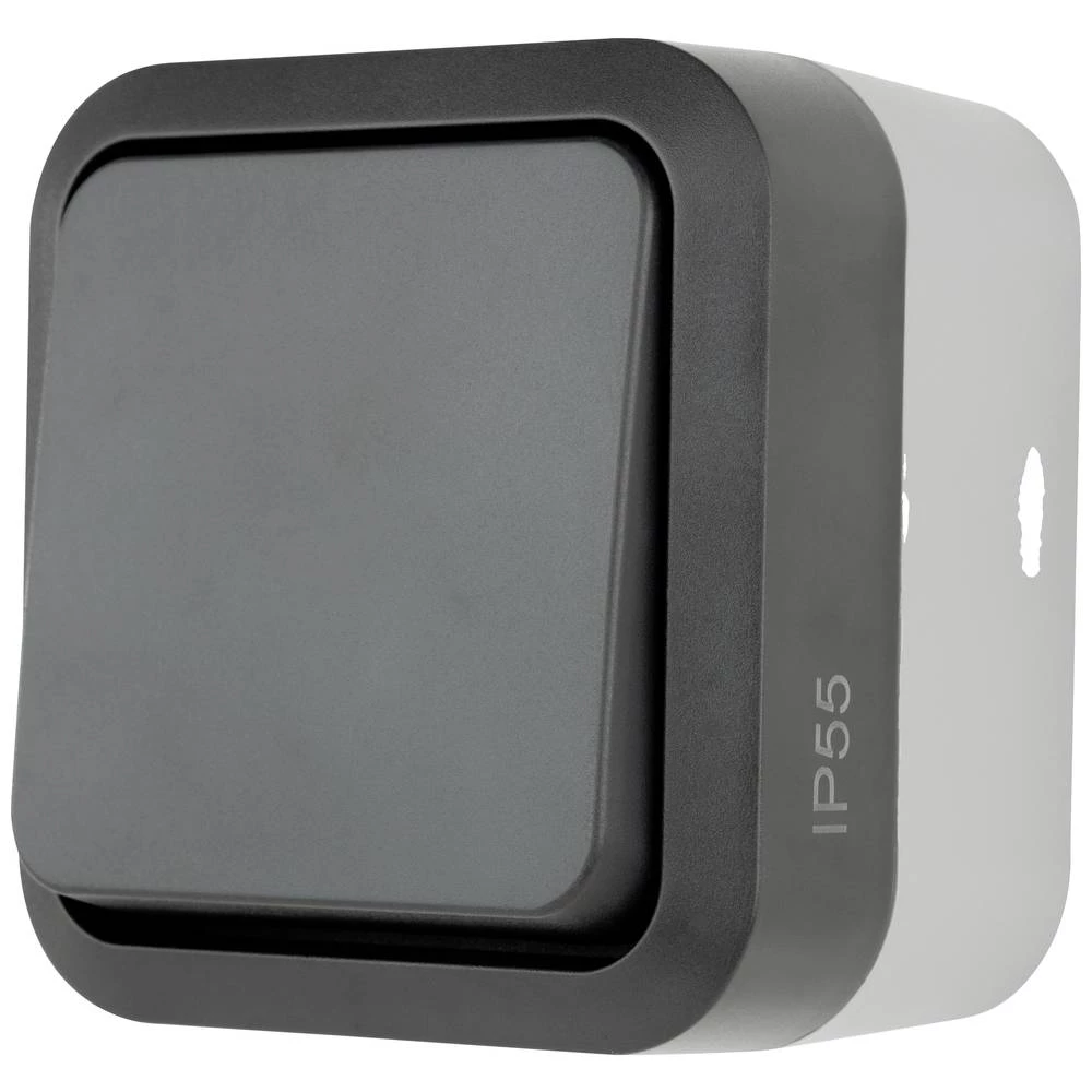 Raspon nadgradnih prekidača IP55 AquaStorm sivi prekidač za uključivanje/isključivanje REV  potpuni izmjenični prekidač   #####AquaStorm svijetlosiva, crna 0004300400 slika