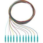 Rutenbeck 228040002 Glasfaser svjetlovodi priključni kabel [12x muški konektor lc - 12x slobodan kraj] Multimode OM3