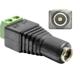 Delock 65421 DC (Strom) adapter [1x ženski konektor dc 5.5 mm - 1x 2-žičani kabel] crna  0.00 m