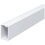 OBO Bettermann 6175390 kabelska kanalica  (D x Š x V) 2000 x 30 x 17.5 mm 1 St. bijela