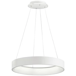 WOFI SHAY 11501 LED viseća svjetiljka 39 W  toplo bijela bijela slika