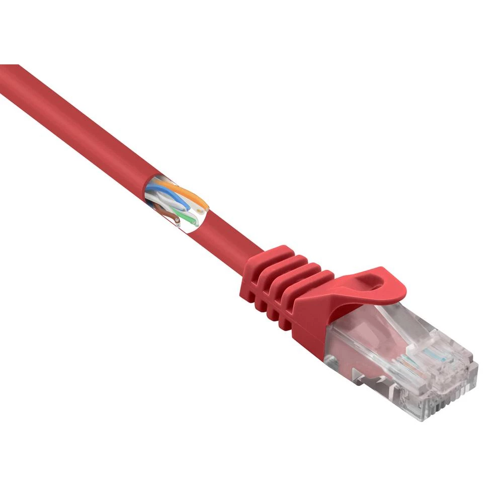 Renkforce RF-5043782 RJ45 mrežni kabel, Patch kabel CAT 5e U/UTP 5.00 m crvena sa zaštitom za nosić 1 St. slika