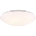 Vanjska LED stropna svjetiljka 36 W Toplo-bijela Nordlux 45396001 Ask Bijela