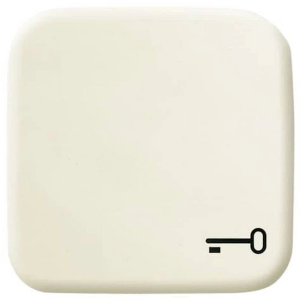 Busch-Jaeger  poklopac ozibna tipka sa simbolom ključa  Duro 2000 SI biserno-bijela, krem-bijela 2CKA001731A0298 slika