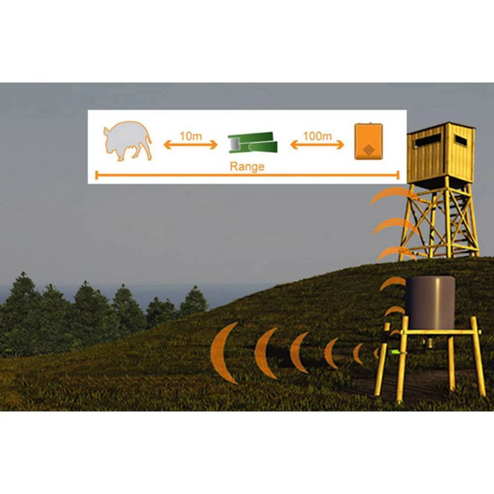 Conrad Product Image