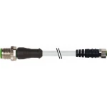 Murrelektronik 7000-40581-6110200 utični konektor za senzor/aktivator, konfekcionirani 2.00 m Broj polova: 4 1 St.