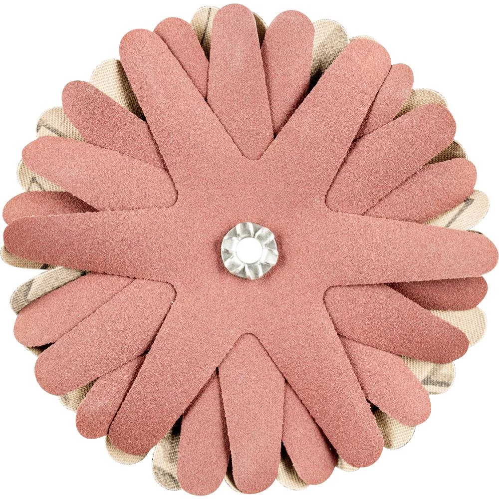 PFERD 42732170 KONJI zvijezde za mljevenje promjer 100 mm     10 St. slika