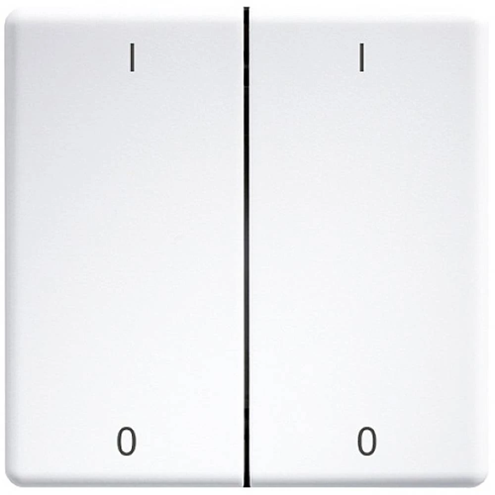 Laserski gravirani dvostruki klackalice za gumbe i prekidače 55 dizajn i E-Design55 čisto bijeli sjajni DW-FT55-wg+IO Eltako  dupli prekidač slika