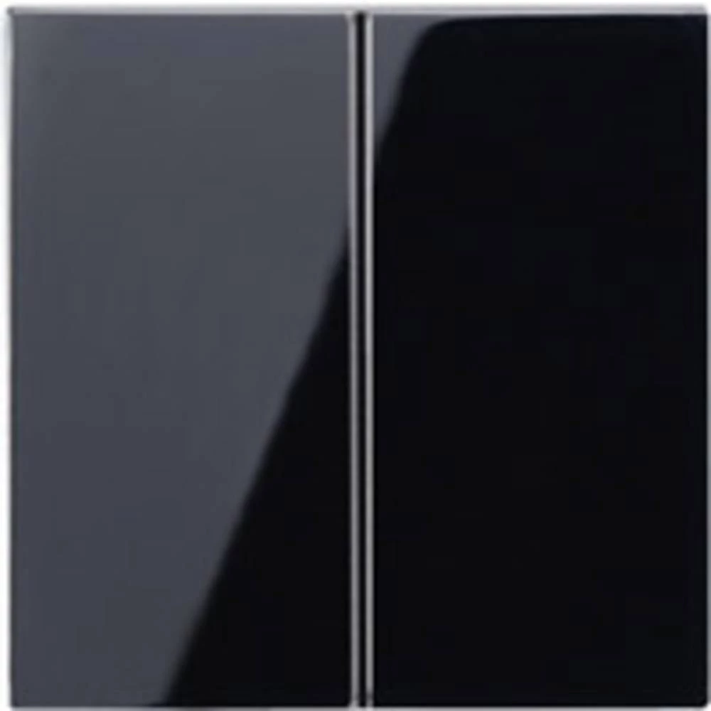 Jung 1-struki Umetak Tipkalo Crna A595SW slika