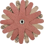 PFERD 42732163 KONJI zvijezde za mljevenje promjer 100 mm     10 St.