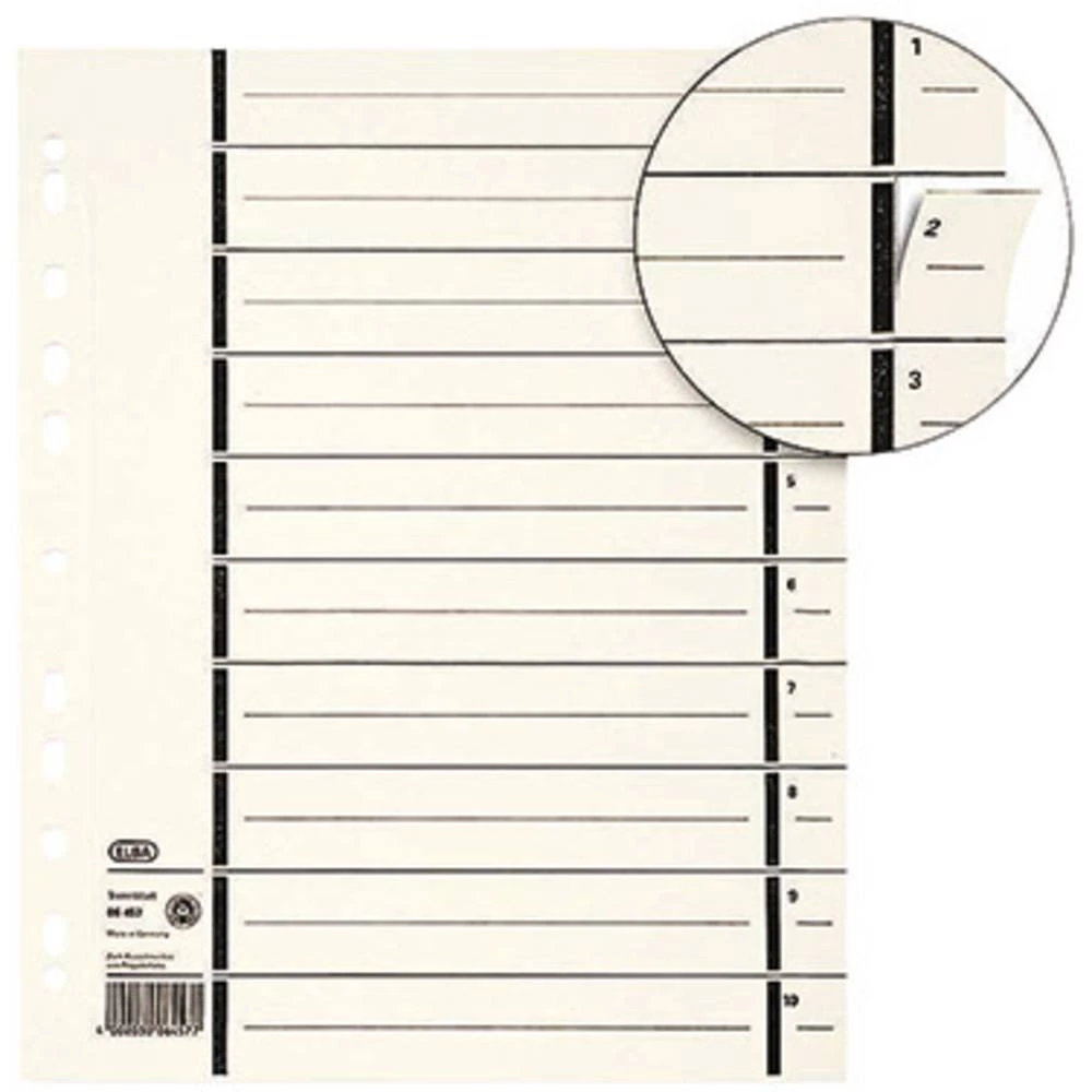 Elba Separator 1554273 DIN A4 230 gm&sup2; 1 ST slika