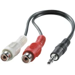 Roline 11.09.4340 utičnica audio priključni kabel [1x 3,5 mm banana utikač - 2x ženski cinch konektor] crna sa zaštitom