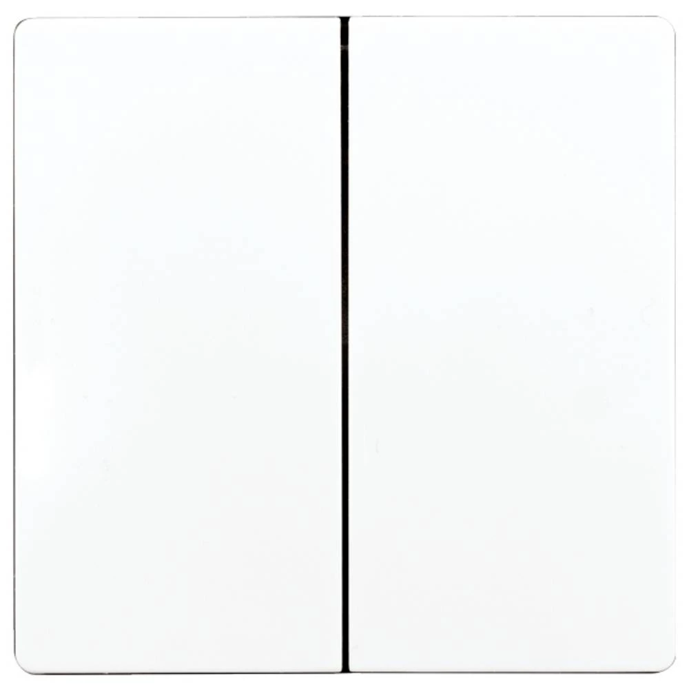 DW-F4T55E/10-wg Eltako dupli prekidač slika