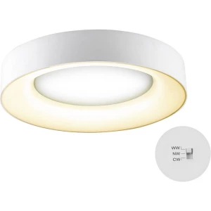 EVN  R40250125 LED stropna svjetiljka bijela 25 W toplo bijela do bijela dnevnog svijetla moguča zidna montaža slika