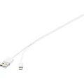 Basetech iPad/iPhone/iPod podatkovni kabel/kabel za punjenje [1x muški konektor USB 2.0 tipa a - 1x muški konektor Apple slika