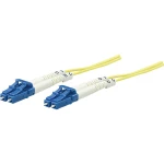 Staklena vlakna Svjetlovodi Priključni kabel [1x Muški konektor LC - 1x Muški konektor LC] 9/125 µ Singlemode OS2 3 m Inte