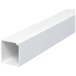 OBO Bettermann 6026796 kabelska kanalica  (D x Š x V) 2000 x 30 x 30 mm 20 St. siva