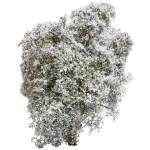 Busch 3585 grm proljeće  bijela, u cvatu boja