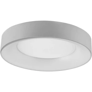 EVN  R40251425 LED stropna svjetiljka srebrna 25 W toplo bijela do bijela dnevnog svijetla moguča zidna montaža slika
